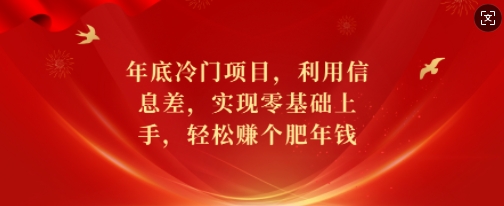 年底冷门项目，利用信息差，实现零基础上手，轻松赚个肥年钱【揭秘】-网创论坛