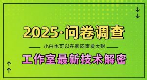 2025问卷调查最新工作室技术解密：一个人在家也可以闷声发大财，小白一天2张，可矩阵放大【揭秘】-网创论坛