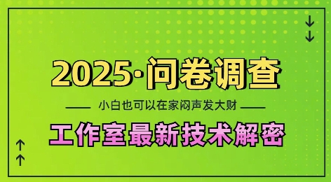 2025问卷调查最新工作室技术解密：一个人在家也可以闷声发大财，小白一天2张，可矩阵放大【揭秘】-网创论坛