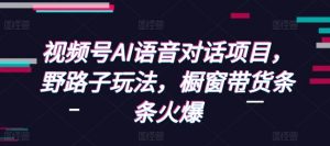 视频号AI语音对话项目，野路子玩法，橱窗带货条条火爆-网创论坛