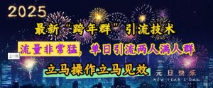 最新“跨年群”引流,流量非常猛,单日引流两人满人群,立马操作立马见效【揭秘】-网创论坛