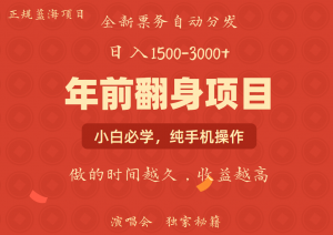 日入1000+ 娱乐项目 全国市场均有很大利润 长久稳定 新手当日变现-网创论坛