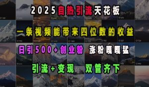2025自热引流天花板，一条视频能带来四位数的收益，引流+变现双管齐下，日引500+创业粉，涨粉嘎嘎猛-网创论坛