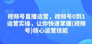 视频号直播运营,视频号0到1运营实操,让你快速掌握(视频号)核心运营技能-网创论坛