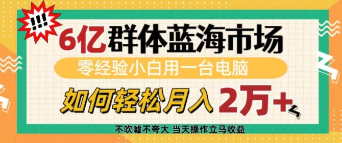 6亿群体蓝海市场，零经验小白用一台电脑，如何轻松月入过w【揭秘】-网创论坛