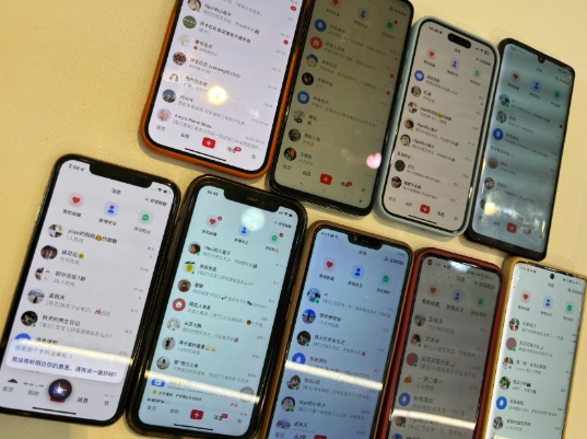 首发揭秘小红书私域日引500+创业粉四大模板，月入过W+全程干货!没有废话!保姆教程!-网创论坛