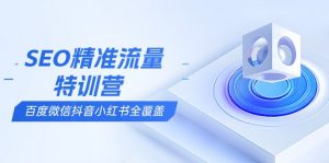 SEO精准流量特训营，百度微信抖音小红书全覆盖，带你搞懂搜索优化核心技巧-网创论坛