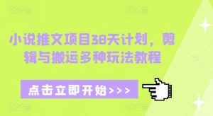 小说推文项目38天计划，剪辑与搬运多种玩法教程-网创论坛