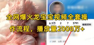 全网爆火龙宝宝视频全套操作流程，播放量2000万+-网创论坛