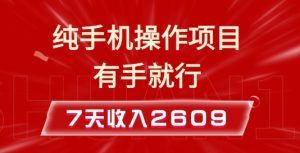 纯手机操作的小项目,有手就能做,7天收入2609+实操教程【揭秘】-网创论坛