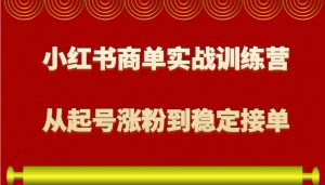 小红书商单实战训练营，从0到1教你如何变现，从起号涨粉到稳定接单，适合新手-网创论坛