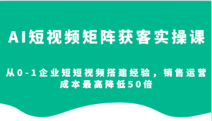 AI短视频矩阵获客实操课，从0-1企业短短视频搭建经验，销售运营成本最高降低50倍-网创论坛