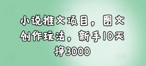 小说推文项目，图文创作玩法，新手10天挣3000-网创论坛