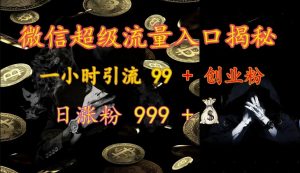 微信超级流量入口揭秘：一小时引流 99 + 创业粉，日涨粉 999 +-网创论坛