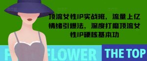顶流女性IP实战班，流量上亿情绪引爆法，深度打磨顶流女性IP硬核基本功-网创论坛