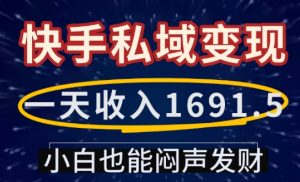 一天收入1691.5，快手私域变现，小白也能闷声发财-网创论坛