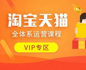 淘宝天猫全体系运营课程：店铺全系运营、动销玩法、付费推广、流量提升、擦边球玩法等等-网创论坛