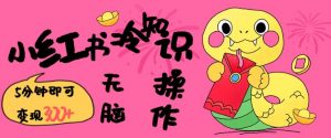 小红书冷知识账号，无脑复制粘贴，5分钟即可变现3张-网创论坛