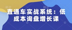 直通车实战系统：低成本询盘增长课，让个人通过技能实现升职加薪，让企业低成本获客，订单源源不断-网创论坛