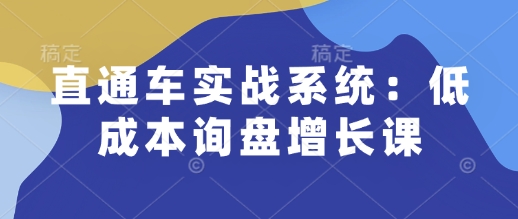 直通车实战系统：低成本询盘增长课，让个人通过技能实现升职加薪，让企业低成本获客，订单源源不断-网创论坛