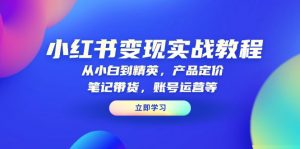 小红书变现实战教程：从小白到精英，产品定价，笔记带货，账号运营等-网创论坛