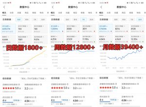 拼多多虚拟店铺项目，电脑挂机自动发货，单店日利润300+-网创论坛