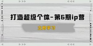 打造 超级个体-第6期ip营：商业认知,产品设计,成交演练,解决知识变现难题-网创论坛