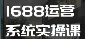 1688高阶运营系统实操课,快速掌握1688店铺运营的核心玩法-网创论坛
