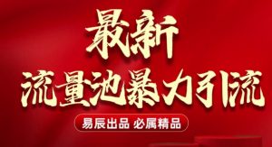 最新“流量池”无门槛暴力引流(全网首发)日引500+-网创论坛