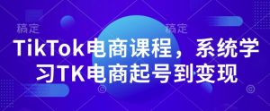 TikTok电商课程，​系统学习TK电商起号到变现-网创论坛