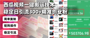 西瓜视频一键搬运技术，稳定日引流300+精准创业粉，简单可复制给团队，...-网创论坛