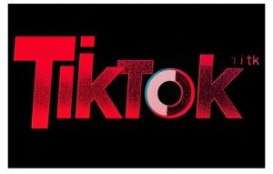 TikTok ads投流秘籍，涵盖tiktok整体投放思路，教你搭建测试计划-网创论坛