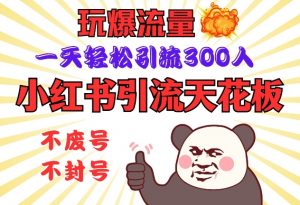 小红书引流天花板,玩爆流量,一天轻松引流300人,安全操作-网创论坛