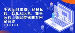 个人ip打造课，私域运营，公众号运营，知乎运营，底层逻辑和方向定位等-网创论坛