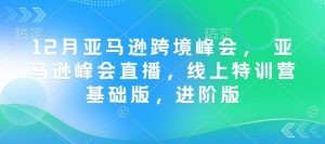 12月亚马逊跨境峰会， 亚马逊峰会直播，线上特训营基础版，进阶版-网创论坛