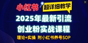 2025年最新小红书引流创业粉实战课程【超详细教学】小白轻松上手，月入1W+，附小红书养号SOP-网创论坛