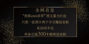 小红书神奇图片引流法，只需一张图，就能单条笔记凭借此方法，轻松引流 300 + 精准创业粉-网创论坛