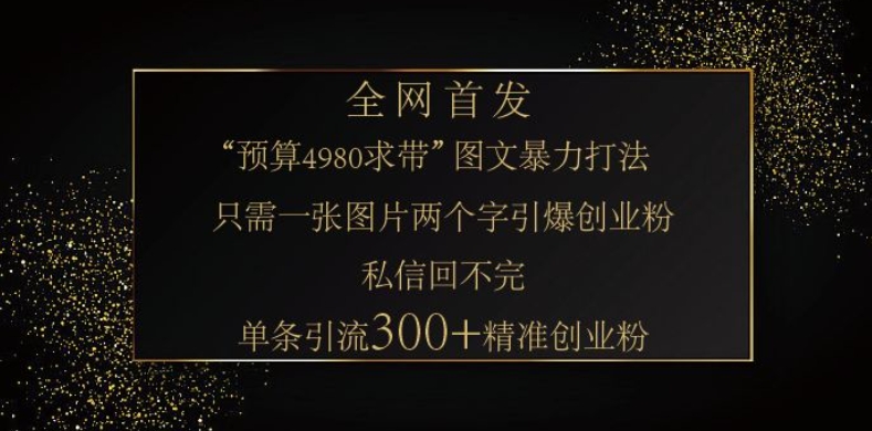 小红书神奇图片引流法，只需一张图，就能单条笔记凭借此方法，轻松引流 300 + 精准创业粉-网创论坛
