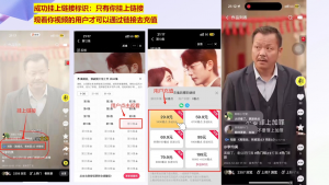 书阳老师·短剧运营变现之路-网创论坛