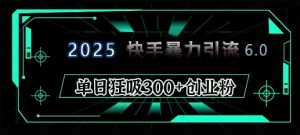 2025年快手6.0保姆级教程震撼来袭，单日狂吸300+精准创业粉-网创论坛