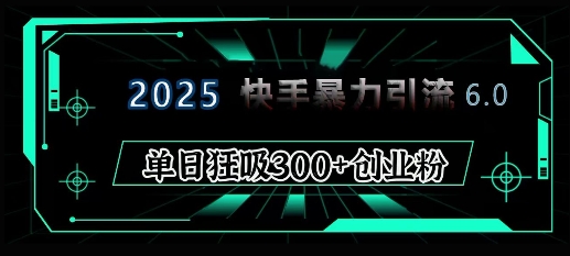 2025年快手6.0保姆级教程震撼来袭，单日狂吸300+精准创业粉-网创论坛