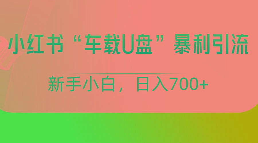 小红书“车载U盘”项目,暴利引流,新手小白轻松日入700+-网创论坛