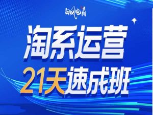 淘系运营21天速成班35期，年前最后一波和2025方向-网创论坛