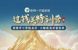剽悍一只猫-过钱关特训营，学习营销真经 大幅度提高创富效率-网创论坛
