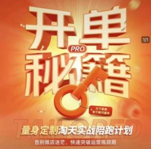 淘宝开单秘籍PRO，量身定制淘天实战陪跑计划，告别做店迷茫、快速突破运营瓶颈期-网创论坛