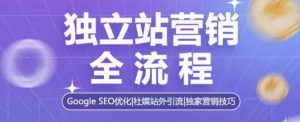 独立站营销全流程，Google SEO优化，社媒站外引流，独家营销技巧-网创论坛