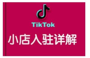 TikTok跨境小店运营全攻略，帮助你独立运营TK跨境小店的能力，实现销量增长-网创论坛
