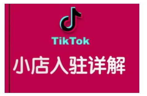 TikTok跨境小店运营全攻略,帮助你独立运营TK跨境小店的能力,实现销量增长-网创论坛