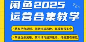2025闲鱼电商运营全集，2025最新咸鱼玩法-网创论坛