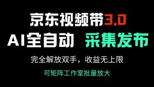 京东视频带货3.0，Ai全自动采集＋自动发布，完全解放双手，收入无上限...-网创论坛